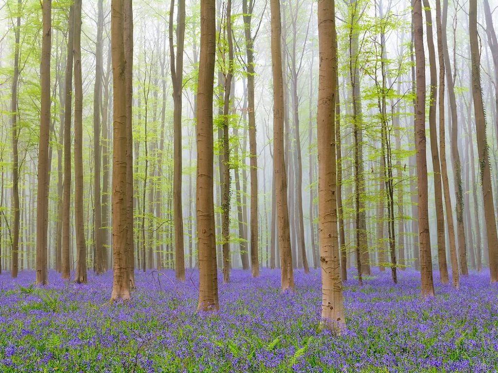 AD-Places-That-Are-Straight-Out-Of-Fairy-Tales-11-2