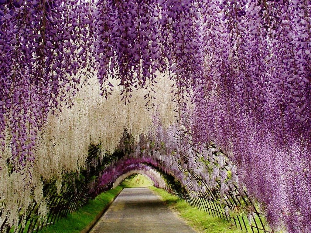 AD-Places-That-Are-Straight-Out-Of-Fairy-Tales-02-2