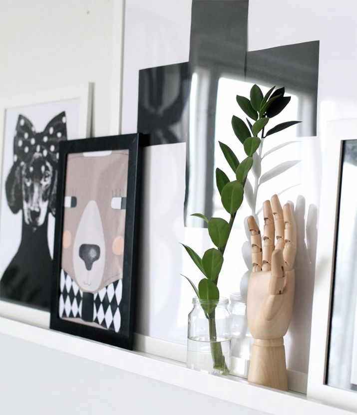 plants-home-decor-5