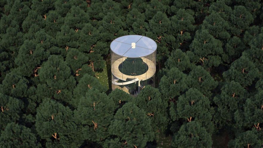 Interior-design-Beldecor-vn-AD-Tubular-Glass-Tree-House-Aibek-Almassov-Masow-Architects-07