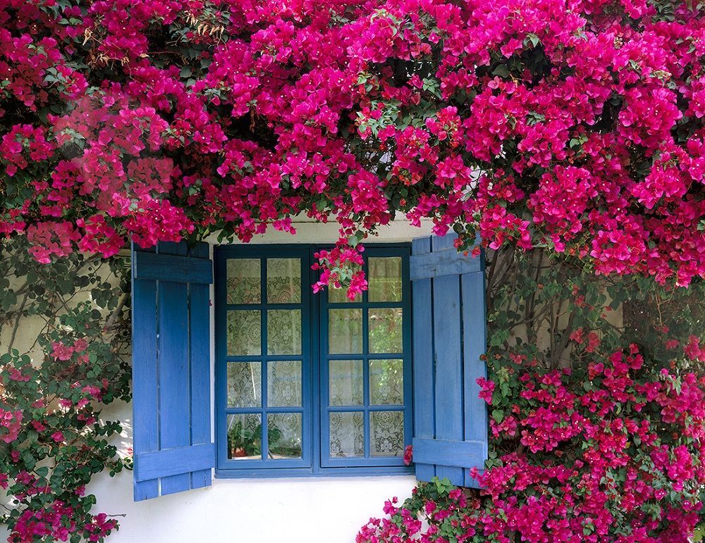 Thiet-ke-noi-that-Beldecor-vn-nha-xinh-lung-linh-voi-gian-hoa-giay 1