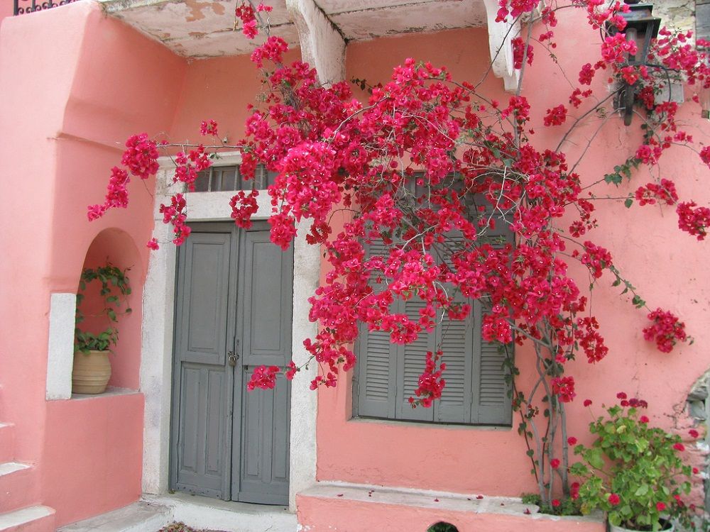 Thiet-ke-noi-that-Beldecor-vn-nha-xinh-lung-linh-voi-gian-hoa-giay 13