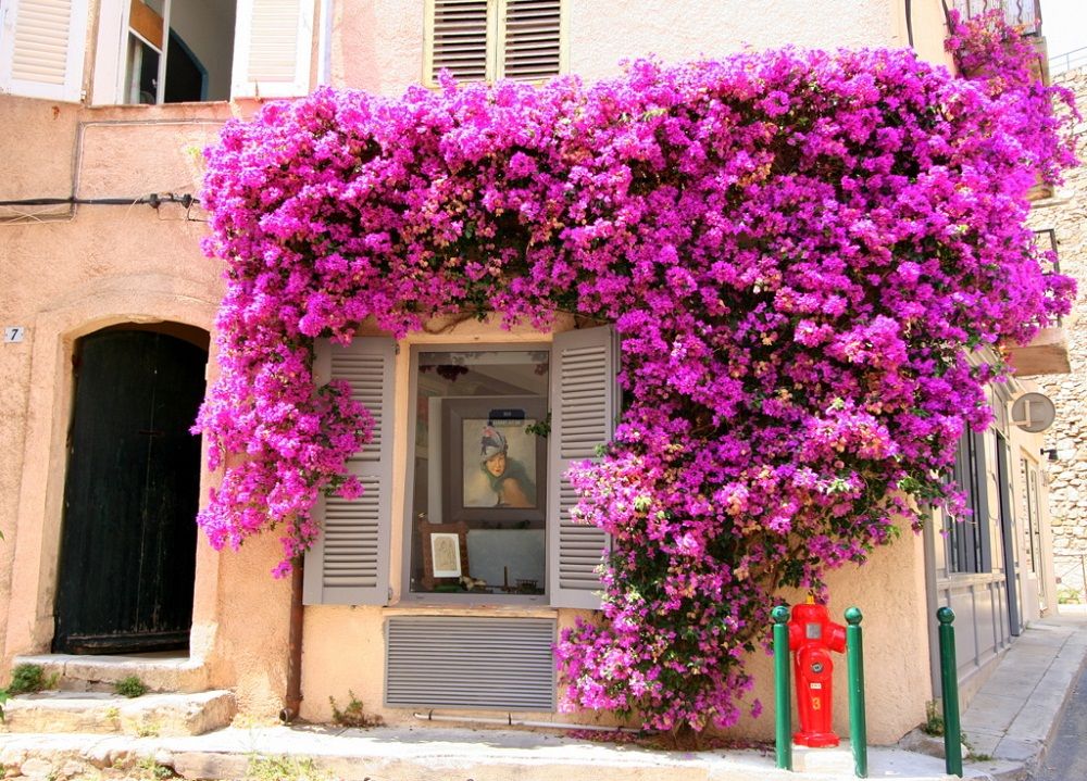 Thiet-ke-noi-that-Beldecor-vn-nha-xinh-lung-linh-voi-gian-hoa-giay 2