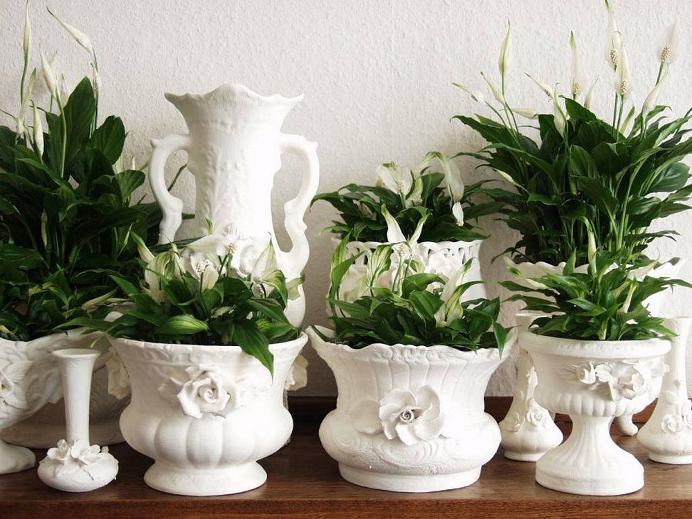 Thiet-ke-noi-that-Beldecor-vn-8-loai-may-loc-khong-khi-tuyet-dinh-cho-khong-gian-song-gia-dinh-van-sam 8
